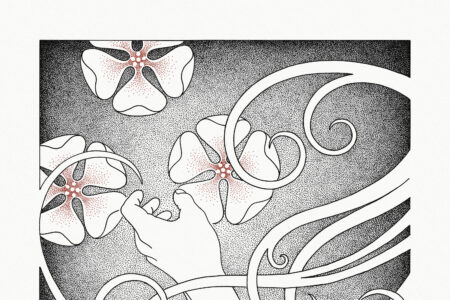 Whispering Void - At The Sound Of The Heart