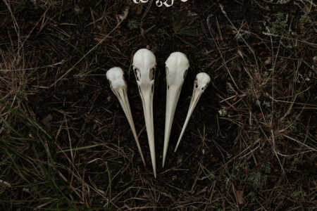 Asarhaddon - Êra Cover Artwork