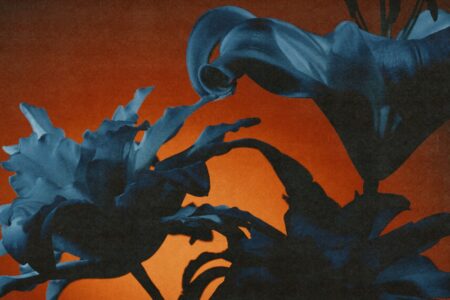 Bild Tides From Nebula - Instant Rewards Cover