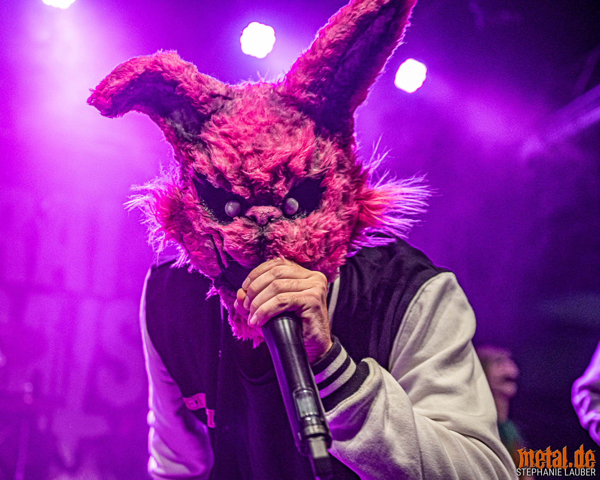 Konzertfoto von Samurai Pizza Cats auf dem Core-Fest 2024