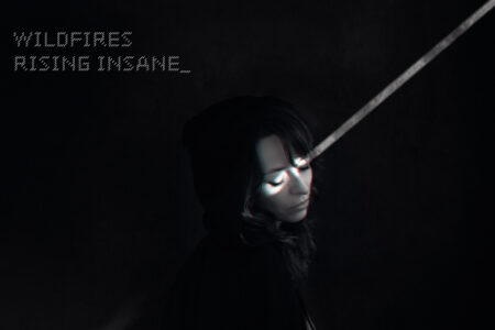 Rising Insane Wildfires Albumcover