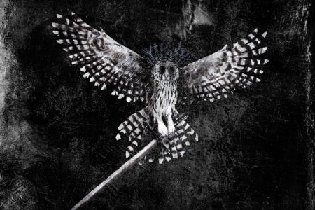 Havukruunu – Tavastland