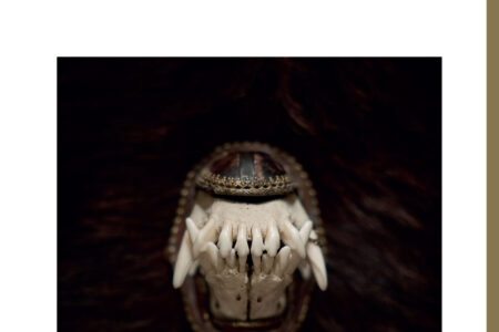 cover Amenra - De Toorn