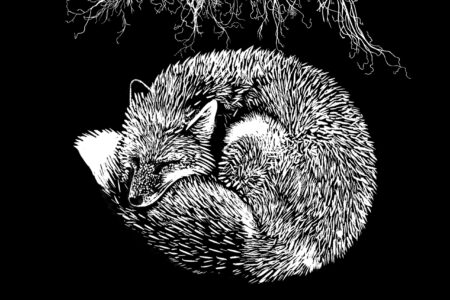 Bild Svarta Havet - Månen Ska Lysa Din Väg Cover