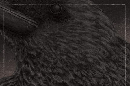 Bild Signeri - Signeri Cover