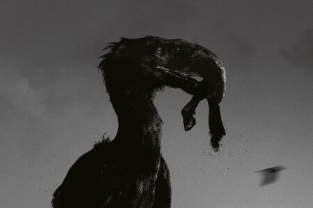 Heretoir Solastalgia Cover