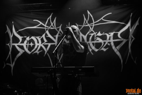 Borknagar - Borknagar Review • metal.de