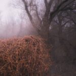 The Devil's Trade - Nincs Szennyezetlen Szép Cover