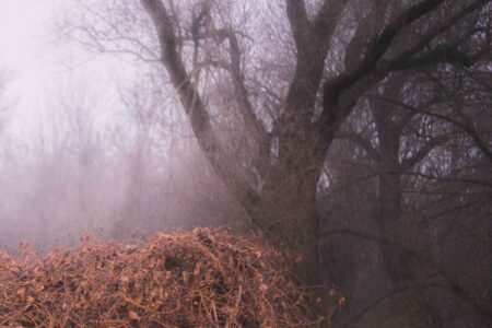 Bild The Devil's Trade - Nincs Szennyezetlen Szép Cover