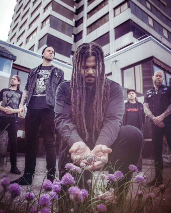 Heretoir-3-Anne C- Swallow