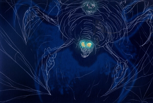 Arakno Kastle von ERANG