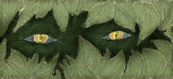 Strange Eyes From The Trees 
