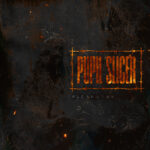 Pupil Slicer - Fleshwork Cover