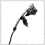 Speglas - Endarkenment, Being & Death Cover