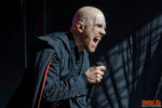 Konzertfoto von Dominum - Tour 2026