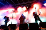 Foto von Pain - Baden in Blut Metal Open Air 2026