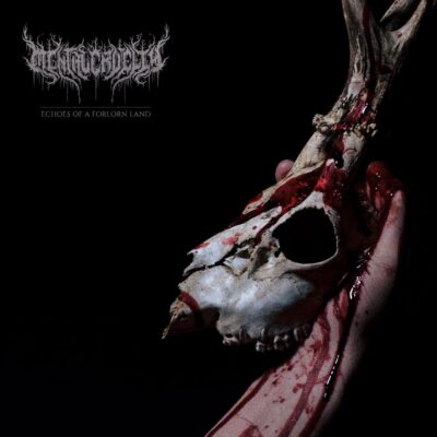 Mental Cruelty - Echoes Of A Forlorn Land