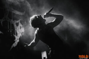 Konzertfoto von Paleface Swiss - Summer Breeze Open Air 2026