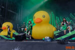 Konzertfoto von Alestorm - Summer Breeze Open Air 2026
